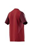 adidas Erkek T-shirt HE5661