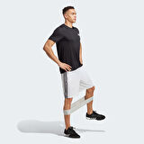 Adidas Train Essentials Piqué 3-Stripes Erkek Şort IB8244