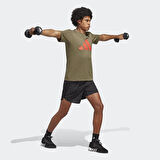 Adidas Erkek Günlük T-Shirt Tr-Es Fr Logo T Ic1217