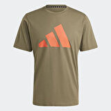 Adidas Erkek Günlük T-Shirt Tr-Es Fr Logo T Ic1217