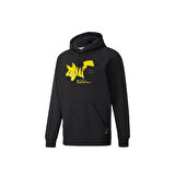 X Pokemon Hoodie Fl