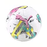 Puma 083775 Pro Futbol Topu Beyaz-Renkli