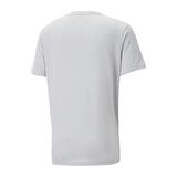 Puma Performance Ss Tee Erkek T-shirt