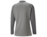 Puma Teamcup Training 1/4 Zip Top Erkek Futbol Uzun Kollu Antrenman Üstü 65798213 Gri