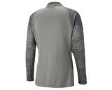 Puma Teamcup Training Jacket Erkek Futbol Antrenman Ceketi 65798313 Gri