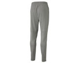 Puma Teamcup Training Pants Erkek Futbol Eşofman Altı 65836913 Gri