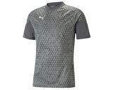 Puma Teamcup Training Jersey Erkek Futbol Tişörtü 65798413 Gri