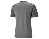 Puma Teamcup Training Jersey Erkek Futbol Tişörtü 65798413 Gri