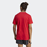Adidas Erkek Günlük T-Shirt M 3S Sj T Ic9339
