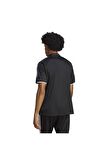 adidas Siyah Erkek Regular Fit Polar Sweatshırt IB1832-XPR LT FL H J       BLA
