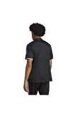 adidas Erkek Polo T-shirt HS3578