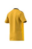 ADİDAS ERKEK T-SHIRT IC1250