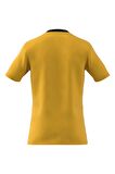 ADİDAS ERKEK T-SHIRT IC1250