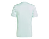 adidas T Icon23 Jsy Erkek Futbol Maç Forması IC1252 Yeşil