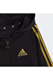 Adidas HR5874 I 3S Shiny Ts Bebek Eşofman Takımı