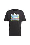 adidas Erkek T-shirt IC5744