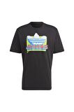 adidas Erkek T-shirt IC5744