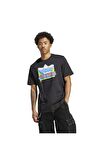 adidas Erkek T-shirt IC5744