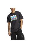 adidas Erkek T-shirt IC5744