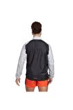 adidas TRAIL WIND J Çocuk  Ceket HZ1299