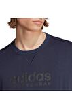 ADİDAS ERKEK T-SHIRT IC9812