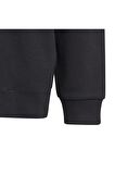 adidas Çocuk Sweatshirt HR6301