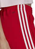 adidas Dar Kırmızı Kadın Eşofman Altı IB5917 SST PANTS PB