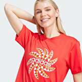 Adidas Kadın Günlük T-shirt Farm Gfx Tee Iq4486