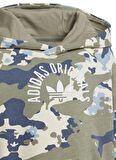 adidas Desenli Yeşil Erkek Eşofman Takımı IR7796-HOODIE SET