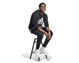 adidas M Bl Fl Hd Erkek Günlük Sweatshirts IB4024 Siyah