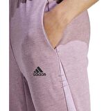 Adidas IJ8969 Erkek Pamuklu Eşofman Altı 