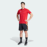 adidas Tiro 24 C DT Erkek Şort