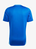 Adidas Tiro24 C Tr Jsy Erkek Forma