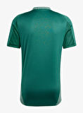 Adidas Tiro24 C Tr Jsy Erkek Forma