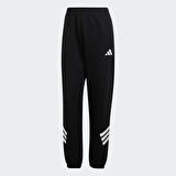 Adidas Kadın Günlük Eşofman Altı W Fı 3S Reg Pt Jc5454