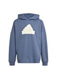 adidas Düz Erkek Mavi Sweatshırt IR8306-U FI LOGO HD