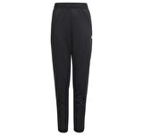 IN0653-C adidas J Sere Ts çocuk Eşofman Takımı Siyah