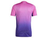 adidas Dfb A Jsy Almanya Deplasman Forması IP8158 Pembe