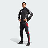 adidas Tiro 24 Training Erkek Eşofman Altı