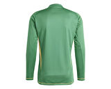 adidas Tiro24 Erkek Futbol Kaleci Forması IS5352 Yeşil