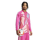 adidas T24 C Gk Jsy L Erkek Futbol Kaleci Forması IS5335 Pembe