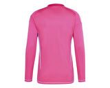 adidas T24 C Gk Jsy L Erkek Futbol Kaleci Forması IS5335 Pembe