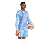 adidas T24 C Gk Jsy L Erkek Uzun Kollu Kaleci Forması IN0410 Mavi