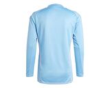adidas T24 C Gk Jsy L Erkek Uzun Kollu Kaleci Forması IN0410 Mavi