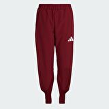 adidas JH0785 TURKIYE P PNT W Kadın Tek Alt