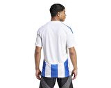 adidas Striped 24 Jsy Erkek Futbol Forması IW2144 Beyaz
