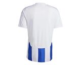 adidas Striped 24 Jsy Erkek Futbol Forması IW2144 Beyaz
