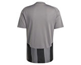 adidas Striped 24 Jsy Erkek Futbol Forması IW2145 Gri