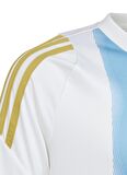 adidas Beyaz Erkek Forma IS6470-MESSI TR JSY Y