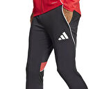 adidas Tiro25C Tr Pnt Erkek Futbol Antrenman Eşofman Altı JI6496 Renkli